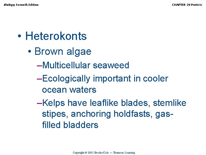 Biology, Seventh Edition CHAPTER 24 Protists • Heterokonts • Brown algae –Multicellular seaweed –Ecologically