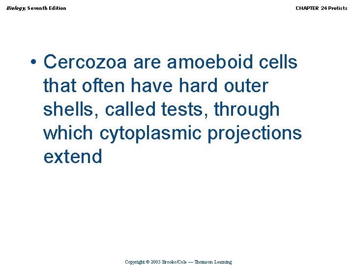 Biology, Seventh Edition CHAPTER 24 Protists • Cercozoa are amoeboid cells that often have