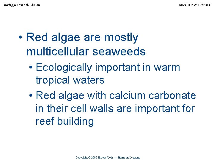 Biology, Seventh Edition CHAPTER 24 Protists • Red algae are mostly multicellular seaweeds •