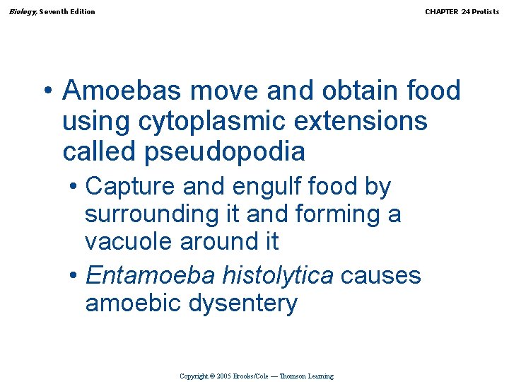 Biology, Seventh Edition CHAPTER 24 Protists • Amoebas move and obtain food using cytoplasmic