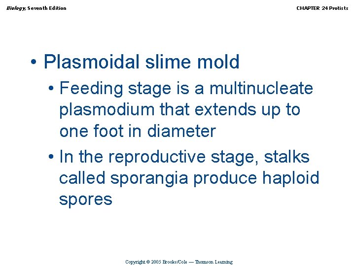 Biology, Seventh Edition CHAPTER 24 Protists • Plasmoidal slime mold • Feeding stage is