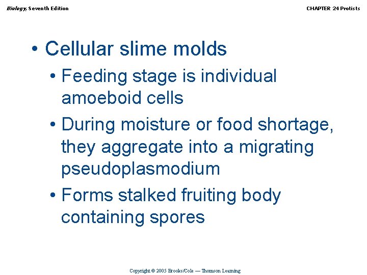 Biology, Seventh Edition CHAPTER 24 Protists • Cellular slime molds • Feeding stage is