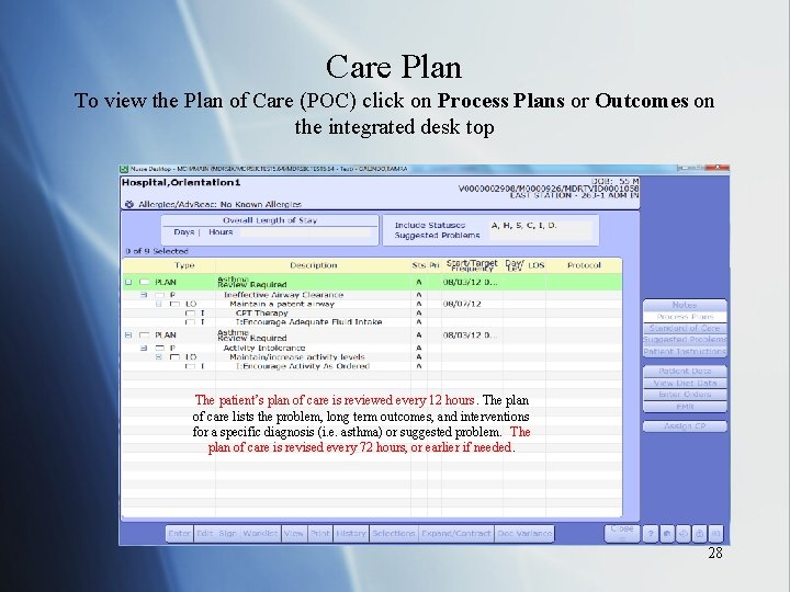 Care Plan To view the Plan of Care (POC) click on Process Plans or