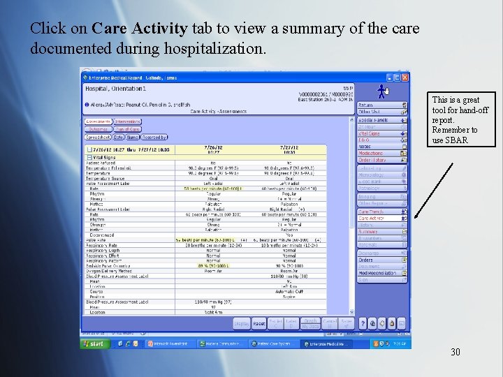 Click on Care Activity tab to view a summary of the care documented during