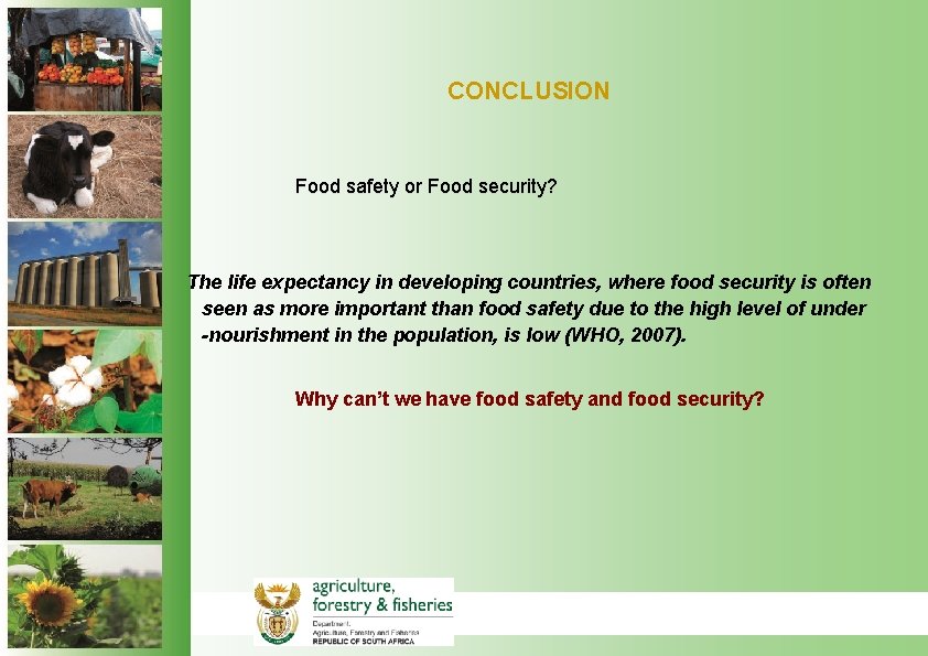 CONCLUSION Food safety or Food security? The life expectancy in developing countries, where food