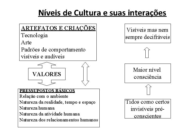 Níveis de Cultura e suas interações ARTEFATOS E CRIAÇÕES Tecnologia Arte Padrões de comportamento Níveis de Cultura e suas interações ARTEFATOS E CRIAÇÕES Tecnologia Arte Padrões de comportamento