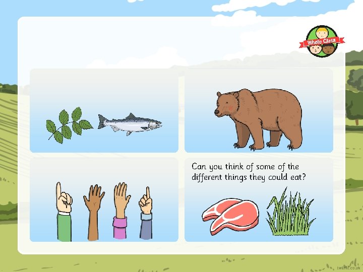 Can you think of some of the different things they could eat? 