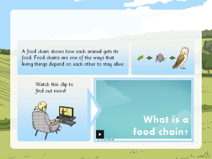 A food chain shows how each animal gets its food. Food chains are one
