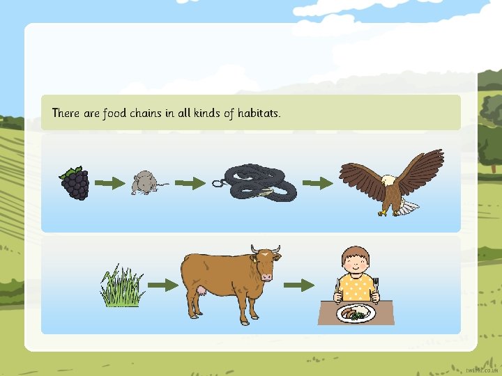 There are food chains in all kinds of habitats. 