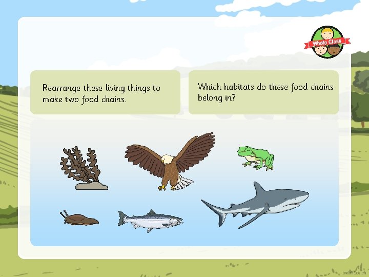 Rearrange these living things to make two food chains. Which habitats do these food