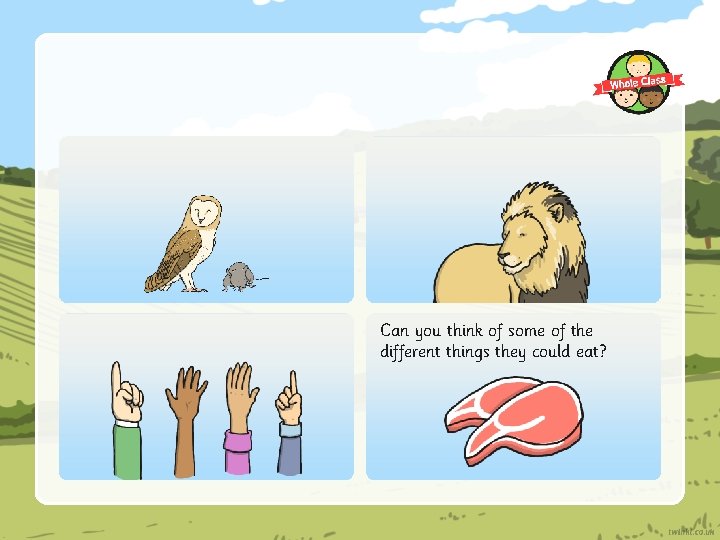 Can you think of some of the different things they could eat? 