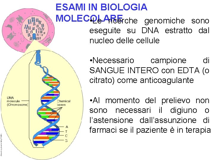 ESAMI IN BIOLOGIA MOLECOLARE • Le ricerche genomiche sono eseguite su DNA estratto dal