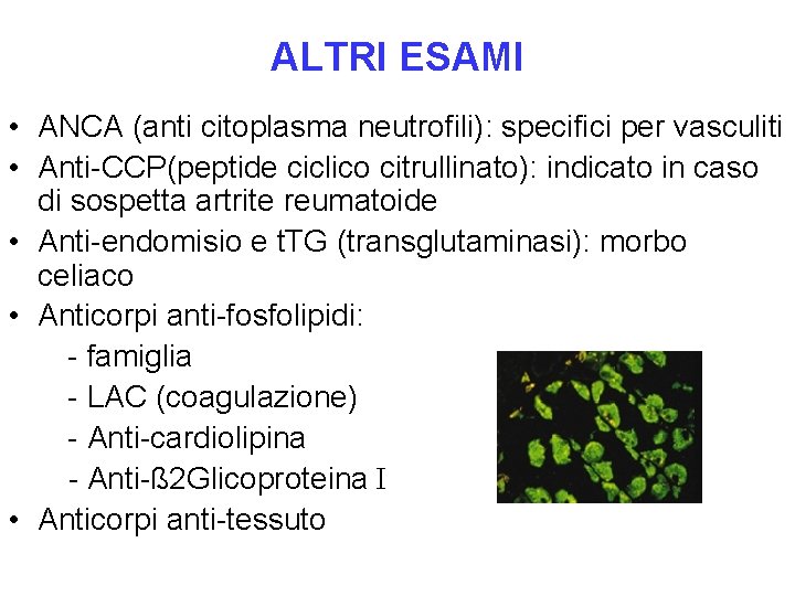 ALTRI ESAMI • ANCA (anti citoplasma neutrofili): specifici per vasculiti • Anti-CCP(peptide ciclico citrullinato):