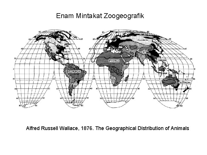 Enam Mintakat Zoogeografik Alfred Russell Wallace, 1876. The Geographical Distribution of Animals 