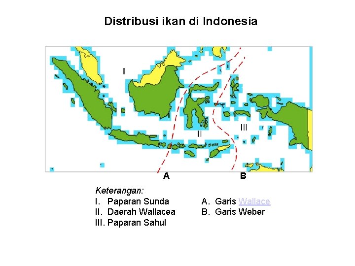 Distribusi ikan di Indonesia A Keterangan: I. Paparan Sunda II. Daerah Wallacea III. Paparan