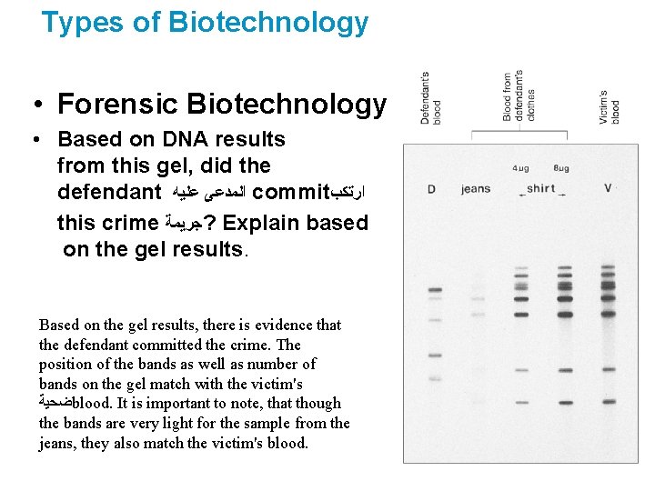 Types of Biotechnology • Forensic Biotechnology • Based on DNA results from this gel,