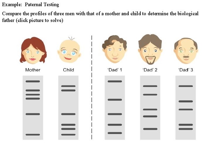 Example: Paternal Testing Compare the profiles of three men with that of a mother