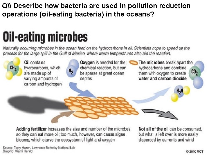 Q\ Describe how bacteria are used in pollution reduction operations (oil-eating bacteria) in the