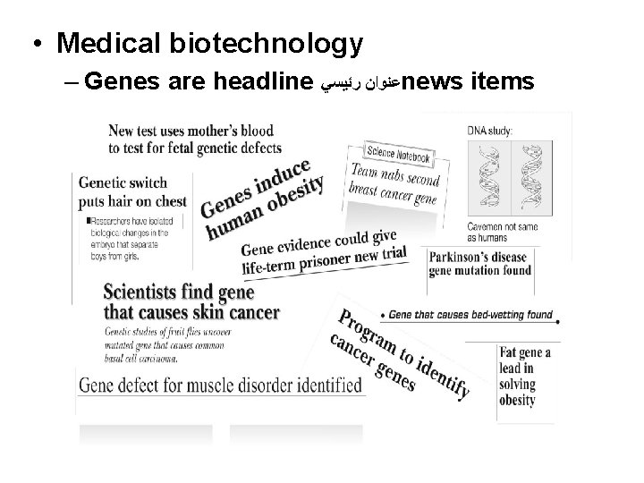  • Medical biotechnology – Genes are headline ﻋﻨﻮﺍﻥ ﺭﺋﻴﺴﻲ news items 