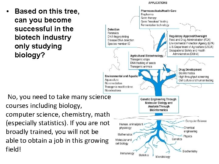  • Based on this tree, can you become successful in the biotech industry