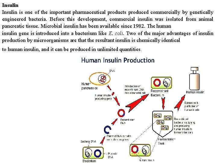 Insulin is one of the important pharmaceutical products produced commercially by genetically engineered bacteria.