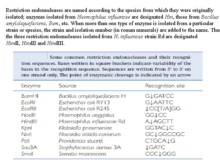 Restriction endonucleases are named according to the species from which they were originally isolated; Restriction endonucleases are named according to the species from which they were originally isolated;