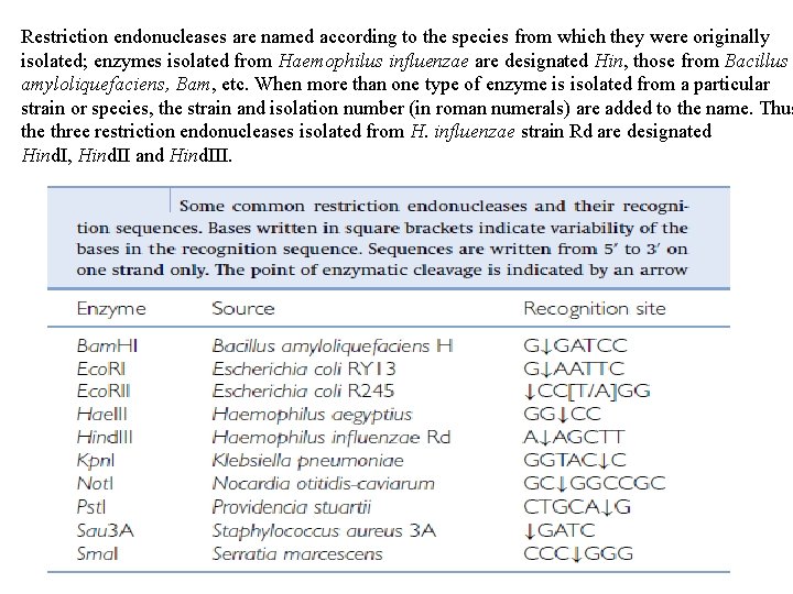 Restriction endonucleases are named according to the species from which they were originally isolated;