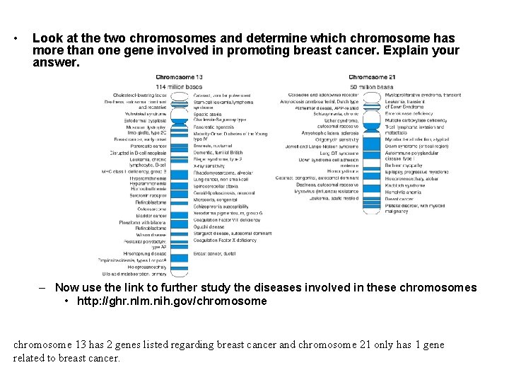  • Look at the two chromosomes and determine which chromosome has more than