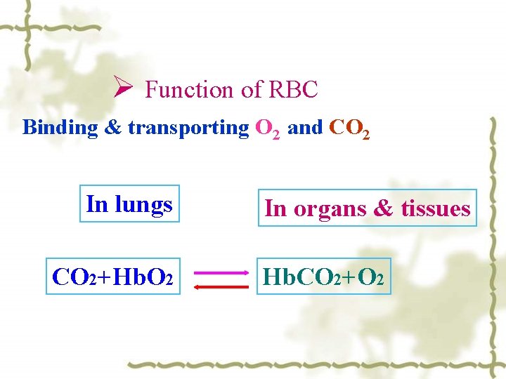 Ø Function of RBC Binding & transporting O 2 and CO 2 In lungs