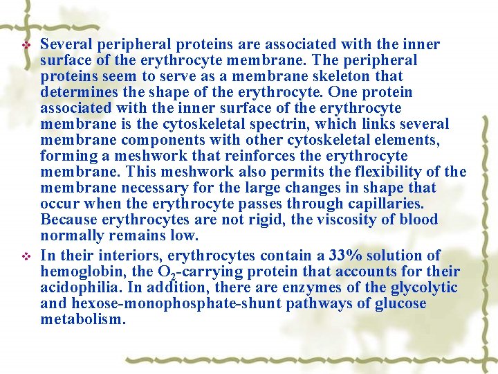 v v Several peripheral proteins are associated with the inner surface of the erythrocyte