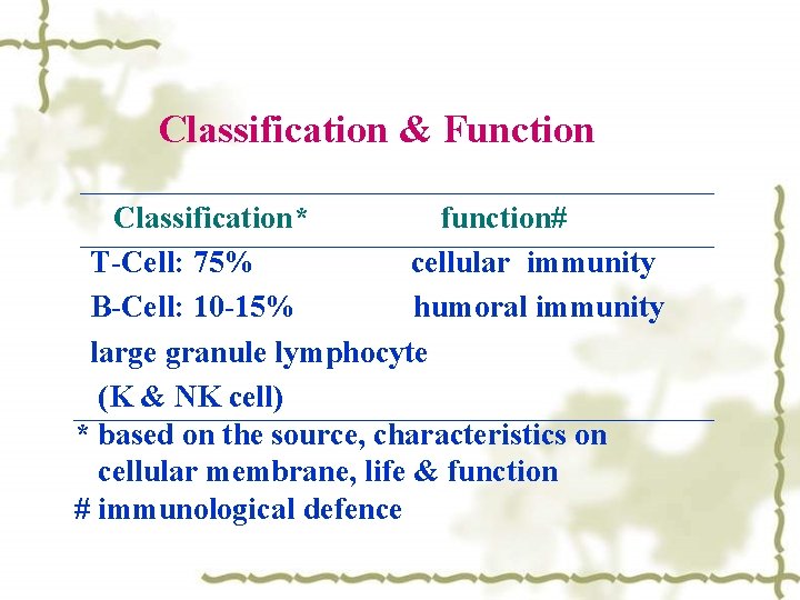 Classification & Function Classification* function# T-Cell: 75% cellular immunity B-Cell: 10 -15% humoral