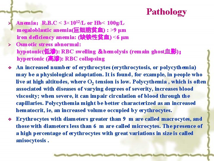 Pathology Anemia：R. B. C < 3× 1012/L or Hb< 100 g/L megaloblastic anemia(巨细胞贫血) :