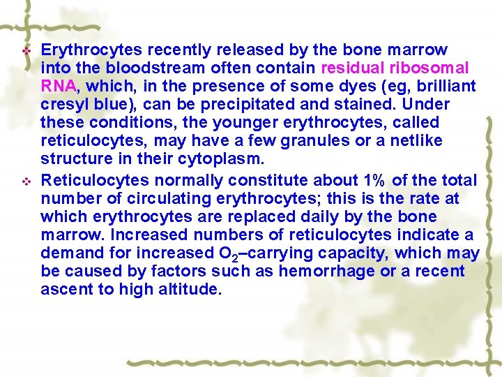 v v Erythrocytes recently released by the bone marrow into the bloodstream often contain