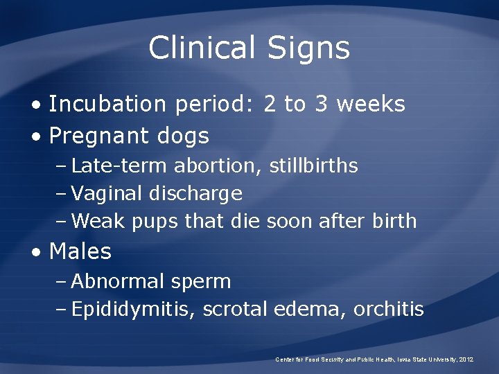 Clinical Signs • Incubation period: 2 to 3 weeks • Pregnant dogs – Late-term