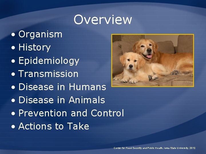 Overview • Organism • History • Epidemiology • Transmission • Disease in Humans •