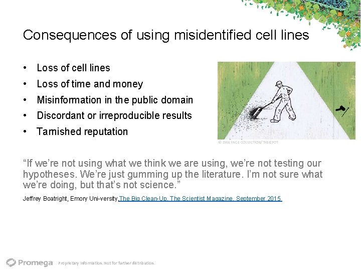 Consequences of using misidentified cell lines • Loss of time and money • Misinformation