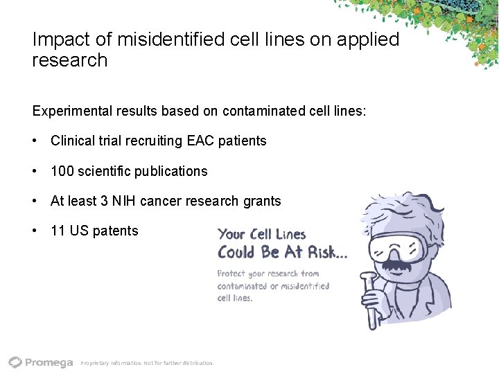 Impact of misidentified cell lines on applied research Experimental results based on contaminated cell
