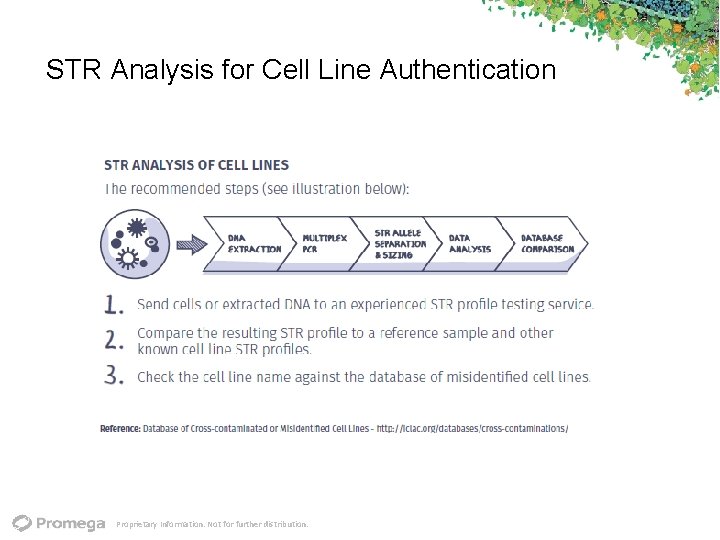 STR Analysis for Cell Line Authentication Proprietary Information. Not for further distribution. 