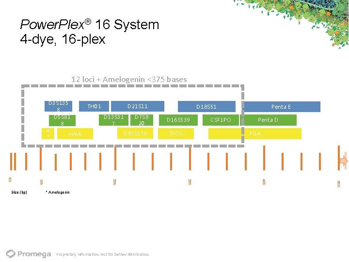Power. Plex® 16 System 4 dye, 16 plex 12 loci + Amelogenin <375 bases