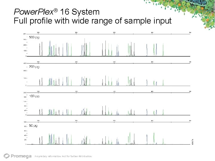Power. Plex® 16 System Full profile with wide range of sample input Proprietary Information.