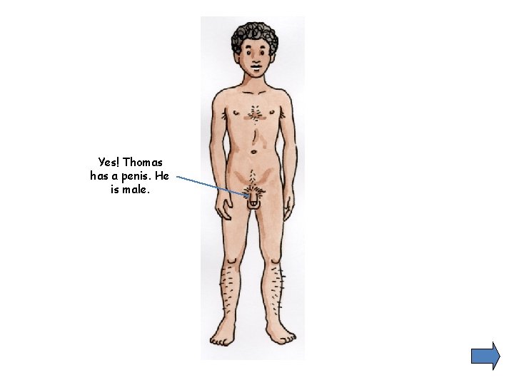 Yes! Thomas has a penis. He is male. 