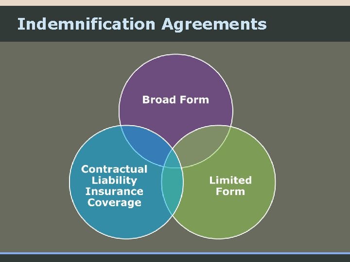 Indemnification Agreements 