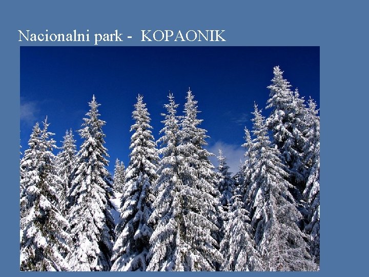 Nacionalni park - KOPAONIK 