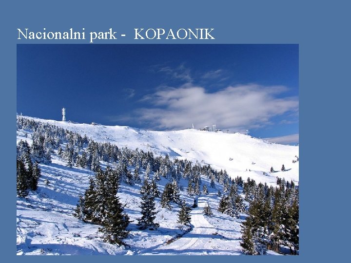 Nacionalni park - KOPAONIK 