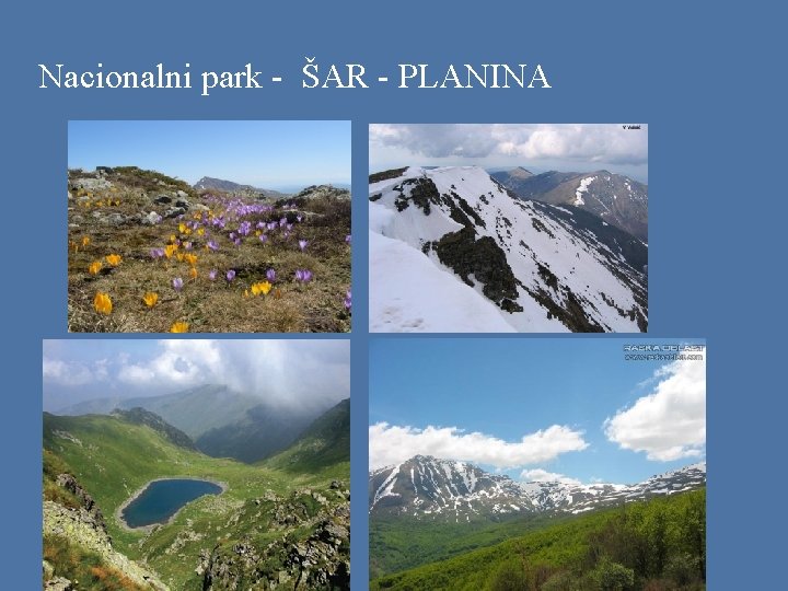 Nacionalni park - ŠAR - PLANINA 