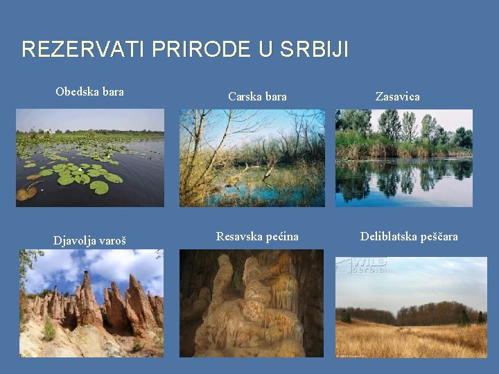 REZERVATI PRIRODE U SRBIJI Obedska bara Carska bara Djavolja varoš Resavska pećina Zasavica Deliblatska