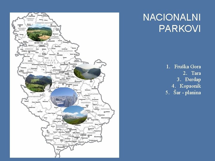 NACIONALNI PARKOVI 1. Fruška Gora 2. Tara 3. Đerdap 4. Kopaonik 5. Šar -