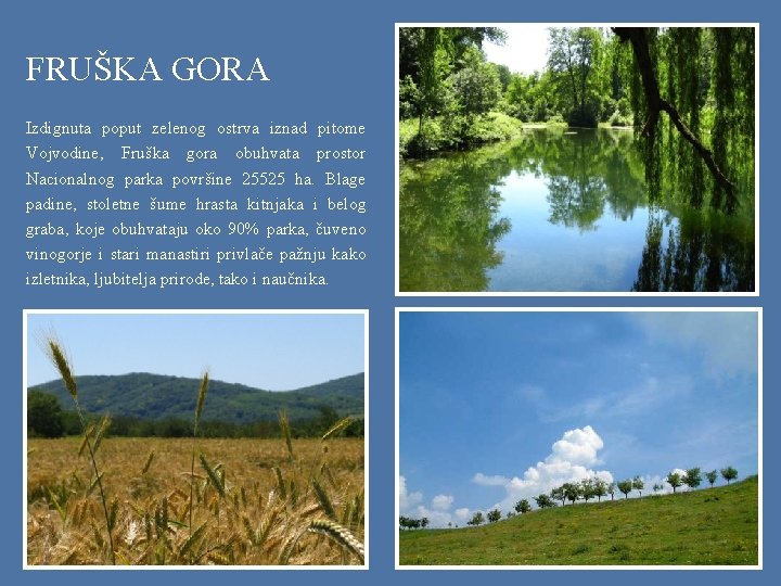 FRUŠKA GORA Izdignuta poput zelenog ostrva iznad pitome Vojvodine, Fruška gora obuhvata prostor Nacionalnog