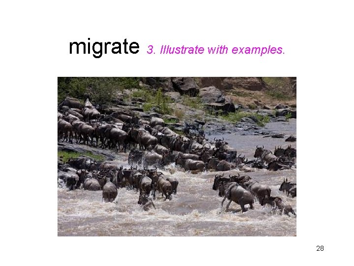 migrate 3. Illustrate with examples. 28 