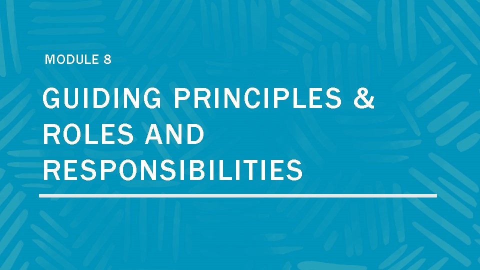 MODULE 8 GUIDING PRINCIPLES & ROLES AND RESPONSIBILITIES 